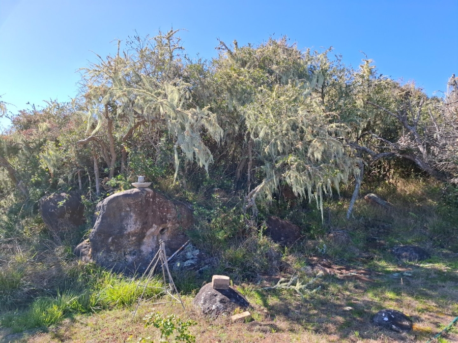 1 Bedroom Property for Sale in Riversdale Rural Western Cape